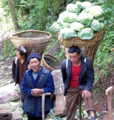 A man carrying home cabbages after harvest in Wanjia Village